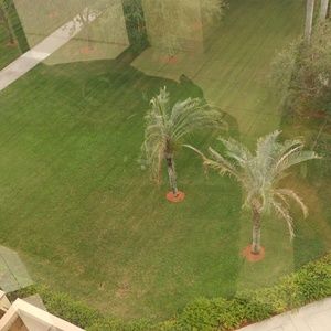 Meet your Posher, Siddy